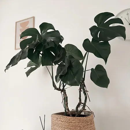 Komfortowy Mokotow Narbutta Metro Pole Mokotowskie 10 Min Od Centrum 아파트 바르샤바